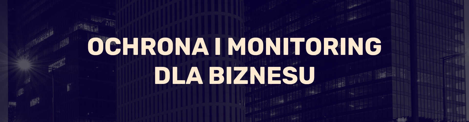 Ochrona i monitoring dla biznesu